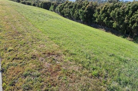 Photo of property in 4 Wheriko Avenue, Glenbrook, 2681