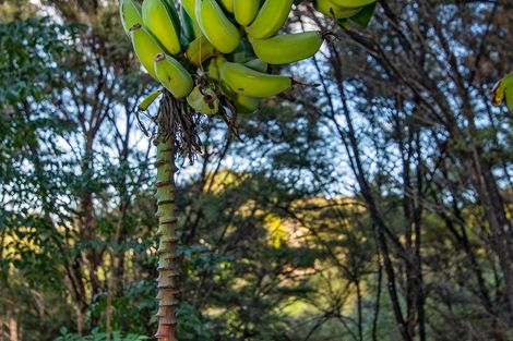 Photo of property in 633 Ormiston Road, Waipu, 0582