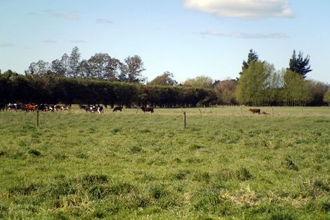 Photo of property in 80 Howsons Road, Cust, 7475