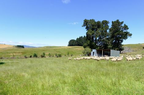 Photo of property in 617 Waihaorunga Back Road, Elephant Hill, Waimate, 7977