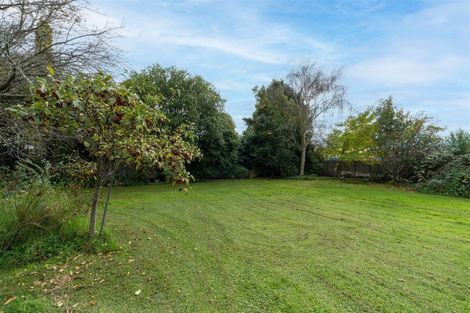 Photo of property in 6a Douglas Street, Levin, 5510