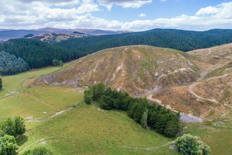 Photo of property in 3525 Masterton Castlepoint Road, Mangapakeha, Masterton, 5889