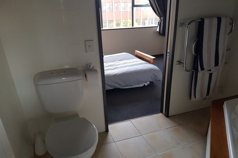 Photo of property in The Lofts, 11/185 Victoria Street, Te Aro, Wellington, 6011