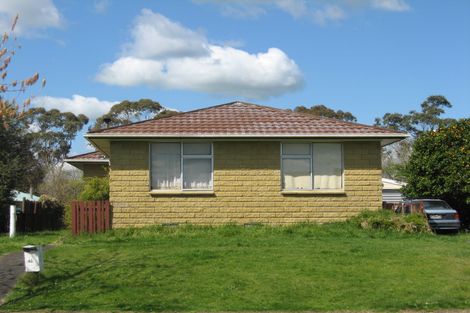 Photo of property in 42 James Henry Crescent, Huntly, 3700