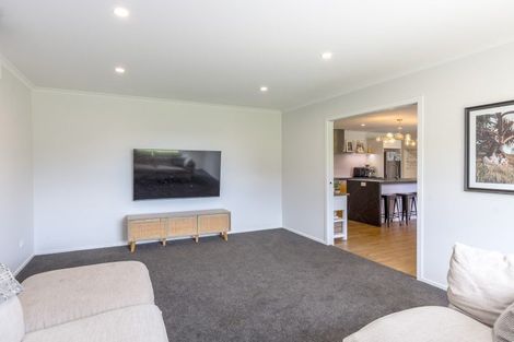 Photo of property in 263 Millars Road, Longbush, Carterton, 5792