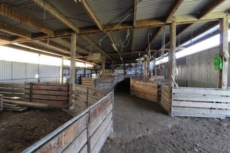 Photo of property in 93 Price Road, Winton, 9781