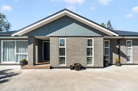 Photo of property in 77 Renall Street, Masterton, 5810