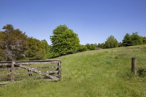 Photo of property in 1006 Tirau Road, Karapiro, Cambridge, 3494