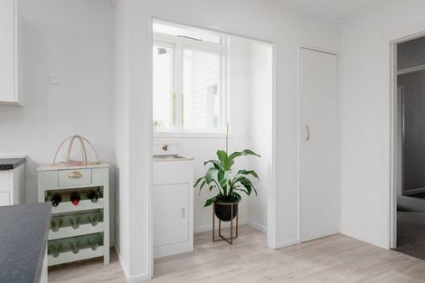 Photo of property in 24a Hunter Street, Hamilton Lake, Hamilton, 3204