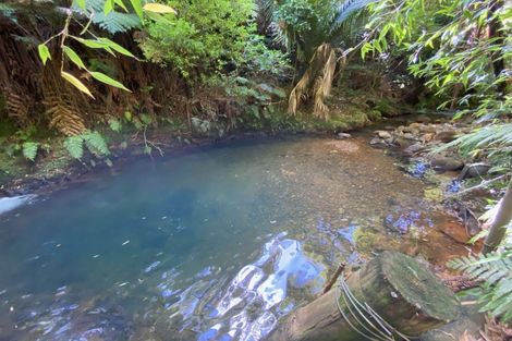 Photo of property in 314 Busby Road, Tahawai, Katikati, 3170