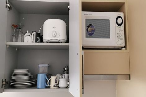 Photo of property in Dual Apartments, 108/142 Vivian Street, Te Aro, Wellington, 6011