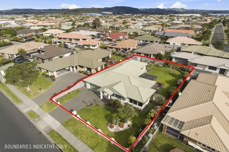Photo of property in 124 Grenada Street, Mount Maunganui, 3116