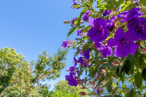 Photo of property in 169b Te Moana Road, Waikanae, 5036