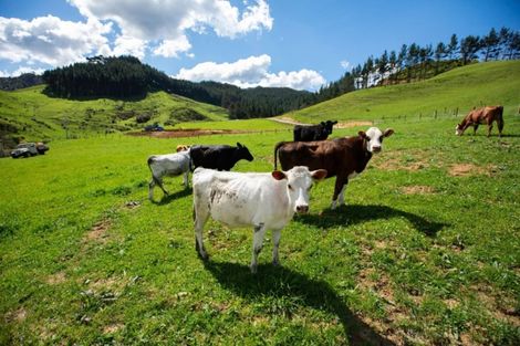 Photo of property in 62b Waitete Road, Waihi, 3610