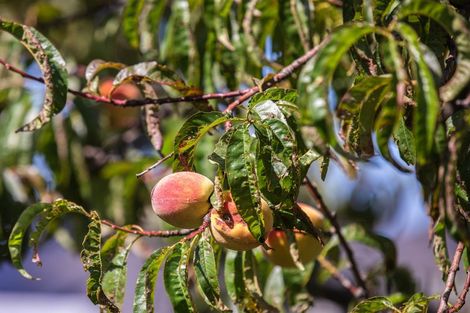 Photo of property in 73 Kotuku Drive, Paraparaumu Beach, Paraparaumu, 5032