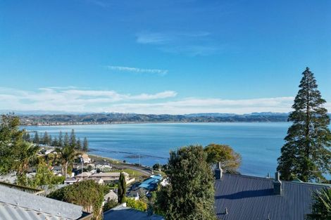 Photo of property in 33a Seapoint Road, Bluff Hill, Napier, 4110