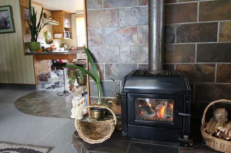 Photo of property in 172 Flora Road, Lumsden, 9730