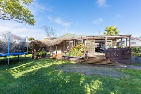Photo of property in 4 Laurel Place, Awapuni, Palmerston North, 4412