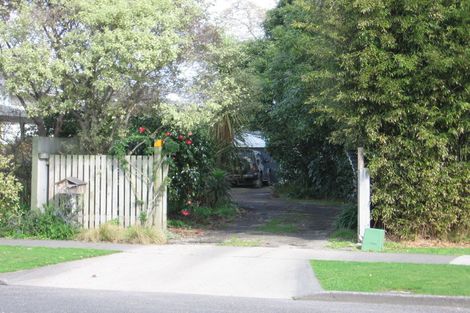 Photo of property in 74 Pitama Road, Awapuni, Palmerston North, 4412