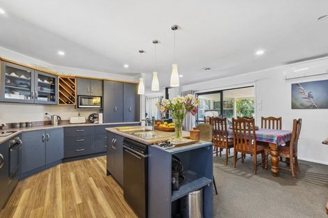 Photo of property in 12 Achray Street, Waiau, 7332