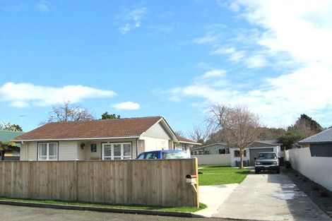 Photo of property in 6 Beechwood Avenue, Levin, 5510