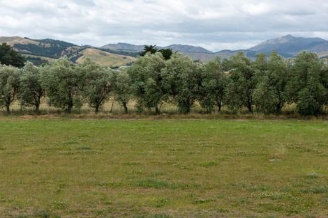 Photo of property in 19 Catalina Crescent, Forrest Hill, Auckland, 0620