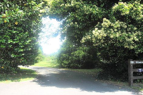 Photo of property in 201 No 2 Road, Te Puke, 3182