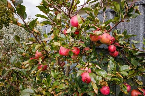 Photo of property in 12 Rata Street, Feilding, 4702