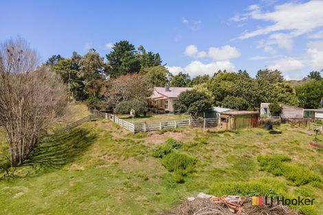 Photo of property in 73 Savage Road, Waihi, 3610