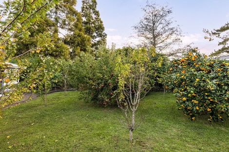 Photo of property in 23 Regent Street, Silverdale, Hamilton, 3216