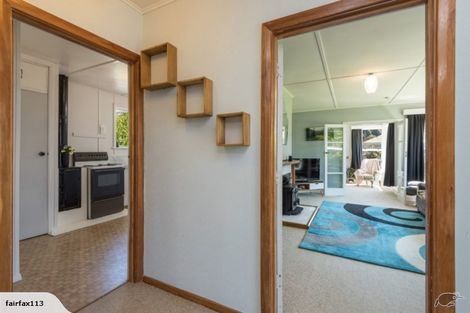 Photo of property in 113 Fairfax Street, Murchison, 7007