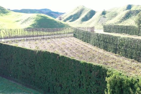 Photo of property in 809 Pikowai Road, Pikowai, Whakatane, 3194