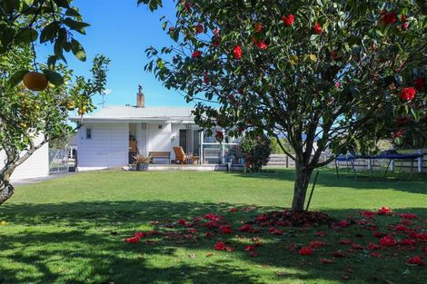 Photo of property in 30 Bailey Street, Huntly, 3700