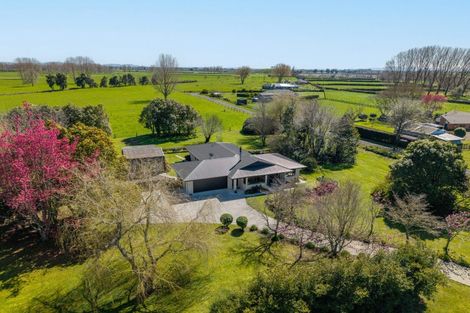 Photo of property in 895 Tauwhare Road, Tauwhare, Hamilton, 3287