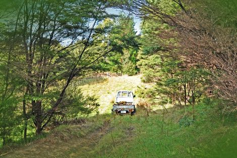 Photo of property in 100 Birdsall Road, Whangateau, Warkworth, 0985