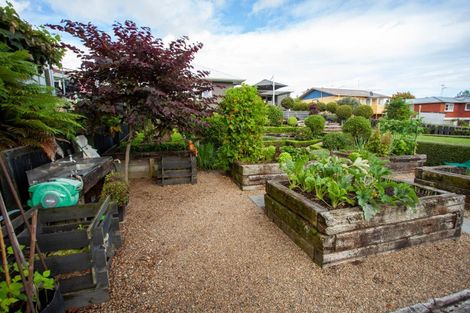 Photo of property in 85 Kensington Street, Putaruru, 3411