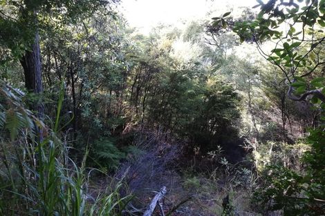 Photo of property in 1455 Port Charles Road, Port Charles, Coromandel, 3584