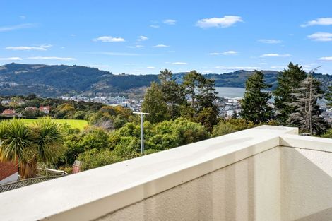 Photo of property in 71 Sligo Terrace, Roslyn, Dunedin, 9010
