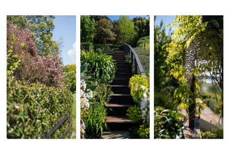 Photo of property in 29 Lakeside Terrace, Omokoroa, 3114