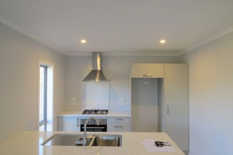 Photo of property in 17 Taotahi Avenue, Dinsdale, Hamilton, 3204