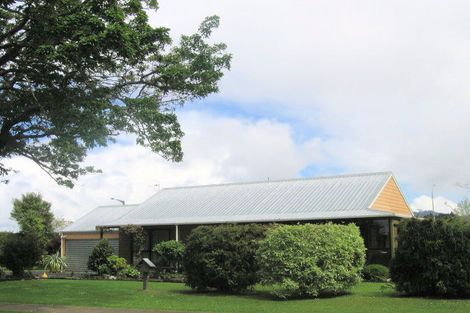 Photo of property in 31 Gladstone Road, Waihi, 3610