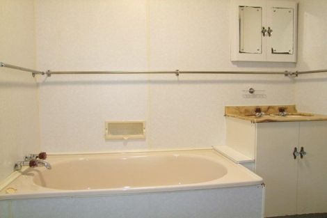 Photo of property in 217 Union Street, Milton, 9220