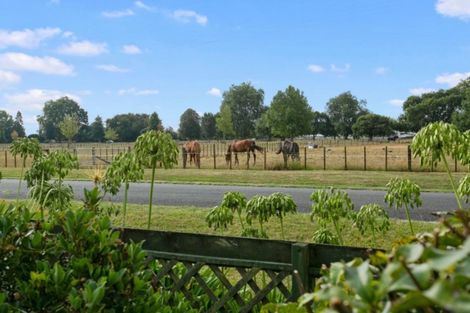 Photo of property in 21 Milton Street, Leamington, Cambridge, 3432