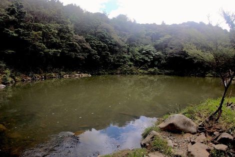 Photo of property in 317 Sawyer Road, Mangonui, 0494