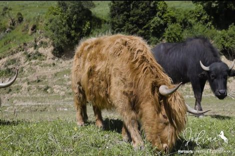 Photo of property in 124 Tunakino Valley, Rai Valley, 7194