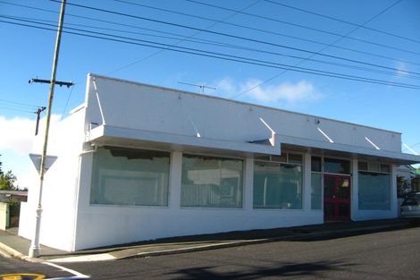 Photo of property in 125 Glenpark Avenue, Maryhill, Dunedin, 9011