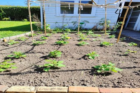 Photo of property in 55 Williamson Avenue, Belmont, Auckland, 0622