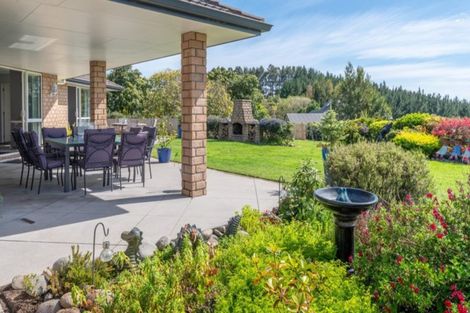 Photo of property in 233 Waipapa Block Road, Whakamarama, Tauranga, 3180
