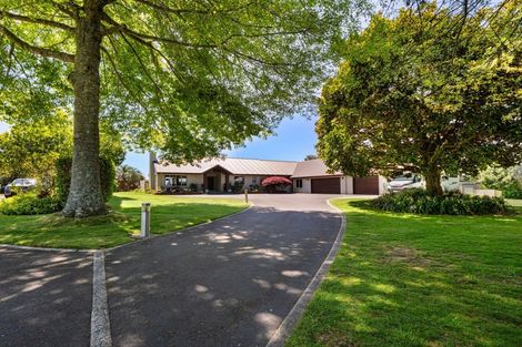 Photo of property in 12 River Oaks Drive, Tauriko, Tauranga, 3110