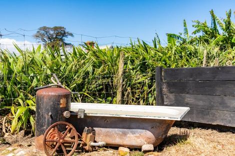 Photo of property in 6 Linley Crescent, Te Kopuru, 0391